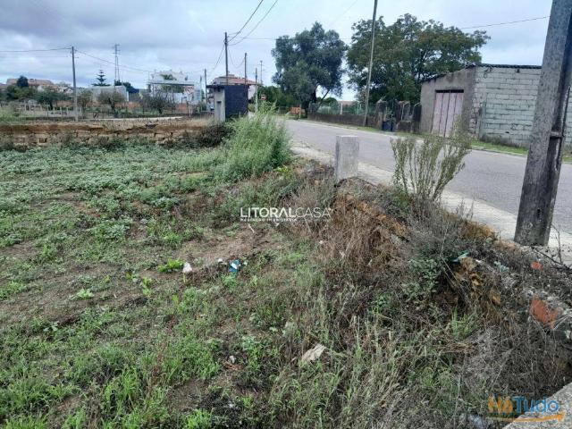 Terreno para construção em altura no centro Oiã | 26084060003