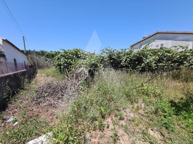 Terreno para construção em Bustos!