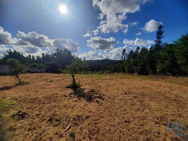 Terreno para construção em Cadaval e Pêro Moniz de 16730,00 m²