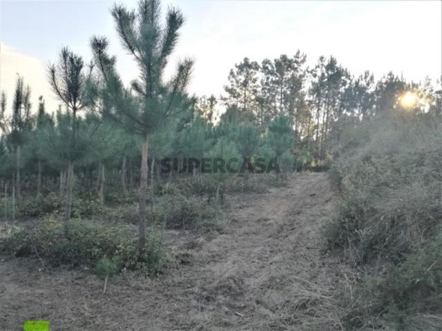 Terreno para construção em Casal de Matos