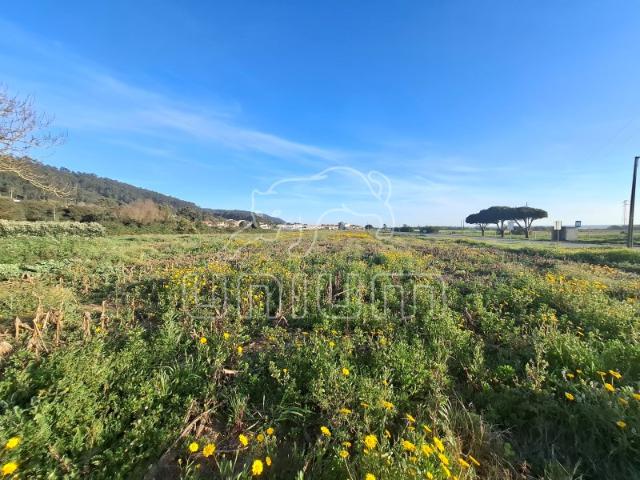 Terreno para construção em Carreço