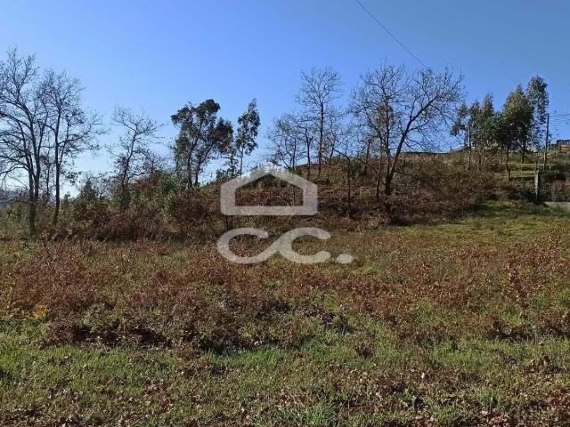 Terreno para construção em Estorãos Fafe