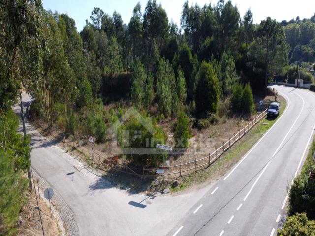 Terreno para construção em Figueiró dos Vinhos