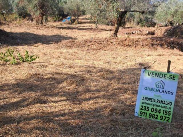 Terreno para construção em frente á Praia Fluvial das Canaveias | 26074059010