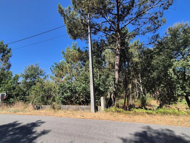 Terreno para Construção em Pombal, Leiria Oportunidade Única!