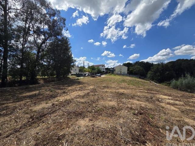 Terreno para construção em Santa Comba Dão e Couto do Mosteiro