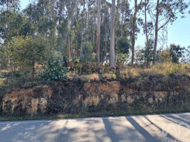 Terreno para construção em Souto da Carpalhosa e Ortigosa de 2154,00 m²