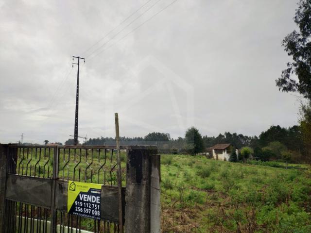 Terreno para Construção em UL, Oliveira de Azeméis
