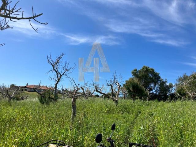 Terreno para Construção Indústria e Habitação Própria 3000m2
