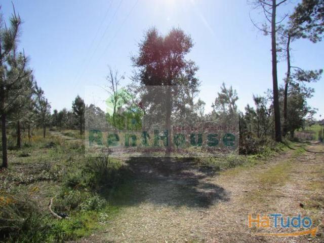 Terreno Para Construção Junto a Coimbra | 26082439322
