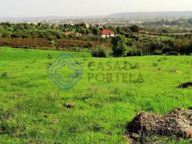 Terreno para construção junto da cidade de Tomar no Centro de Portugal | 26063709681
