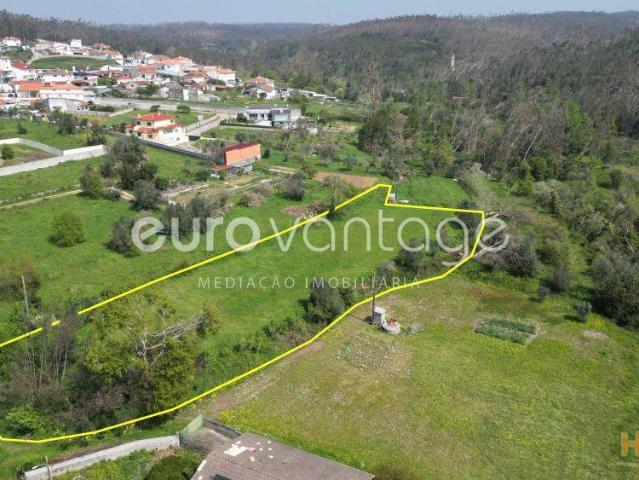 Terreno para Construção Leiria, Regueira de Pontes | 2.500 m² | 26064076186