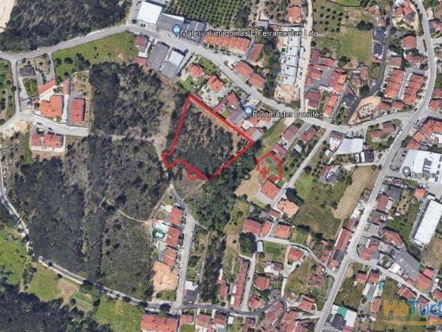 Terreno para Construção | Lote com 5975m2 | Andrinos Leiria | 26083433529