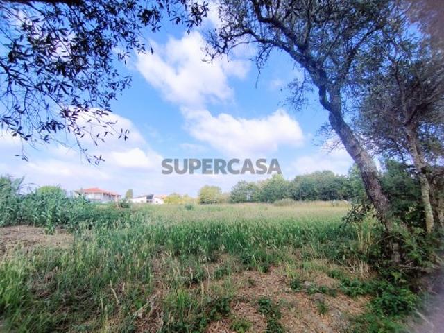 Terreno para Construção Palhaça