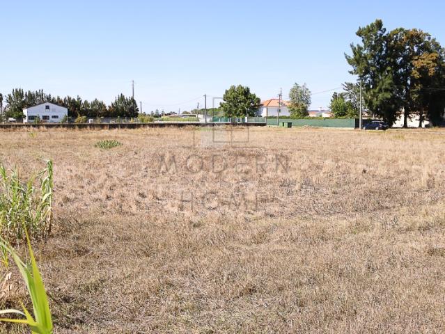 Terreno urbano com 5247,00 m² Quinta da Palmeira, Benavente