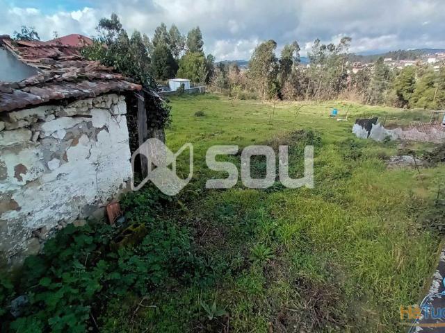 Terreno para Construção Quinchães | 26083921086