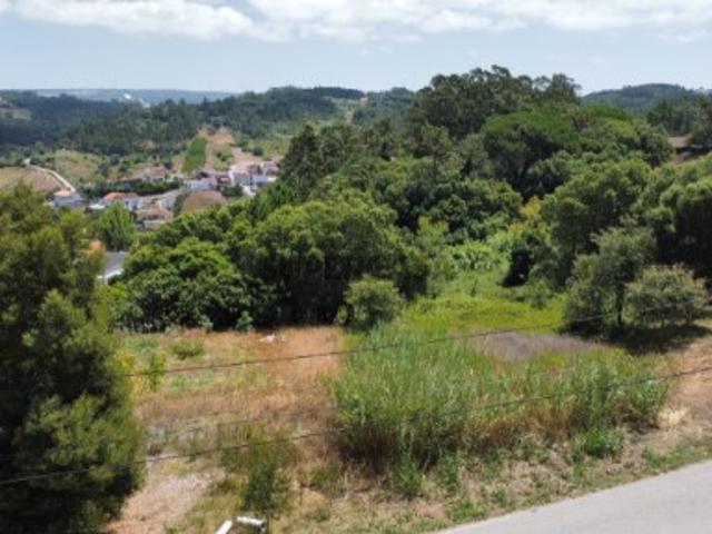 Terreno para construção, Relvas