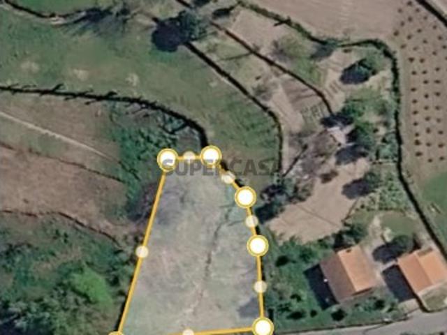 Terreno para construção Ribeira de Pena