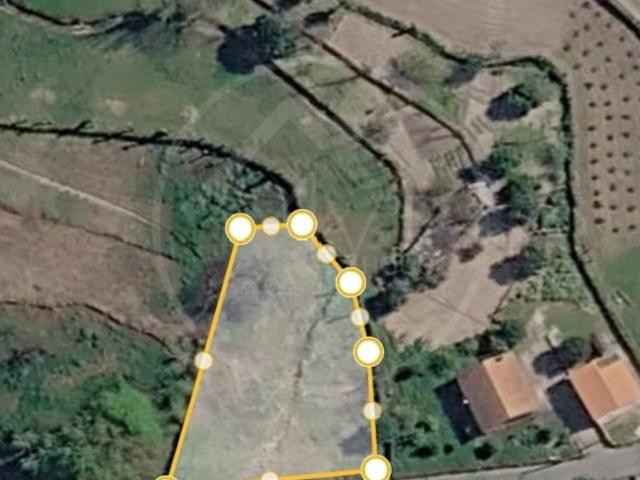 Terreno para construção Ribeira de Pena