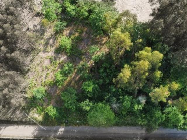 Terreno para Construção Sabadim
