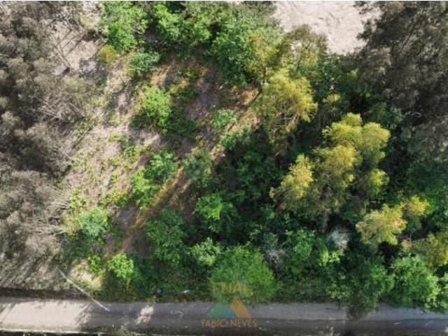Terreno para Construção Sabadim