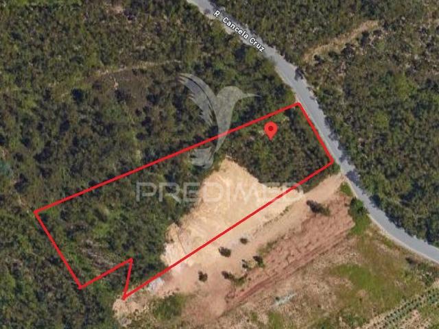 Terreno para Construção Sandim – Potencial para Polo Industrial