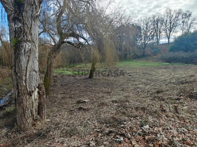 Terreno para construção SANTA COMBA DÃO | LEILÃO ELETRÓNICO | FIM 02*SET