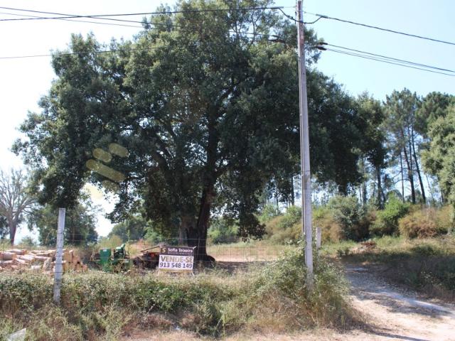 Terreno para Construção Santo Isidoro e Livração Marco de Canaveses