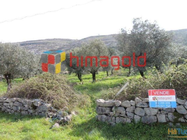 Terreno para Construção Serra D'Aire e Candeeiros | 26063917685