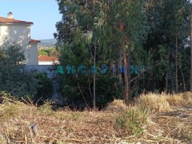 Terreno Para Construção T4 Venda em Leiria, Pousos, Barreira e Cortes,Leiria