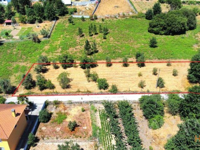 Terreno Para Construção T5 Venda em São João de Lourosa,Viseu | 26063998983