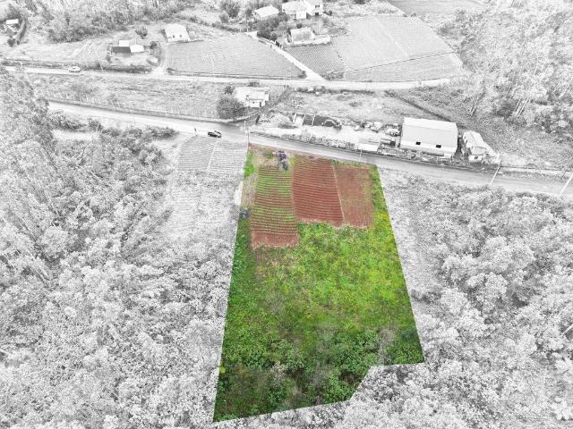 Terreno para construção T2 em São Jorge de 3630,00 m²