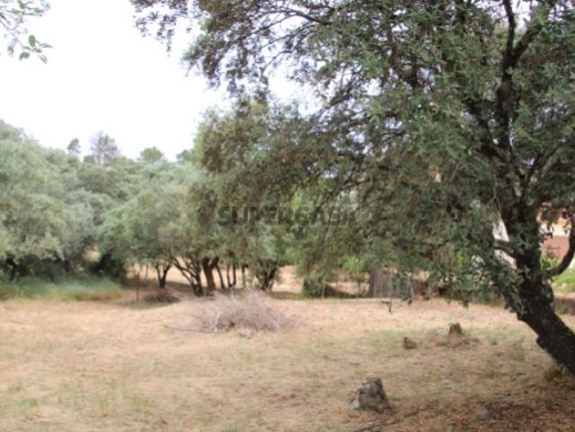 Terreno para construção, Vale Calvo, Tomar