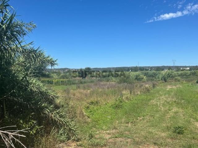 Terreno Para Construção Venda em Amor,Leiria
