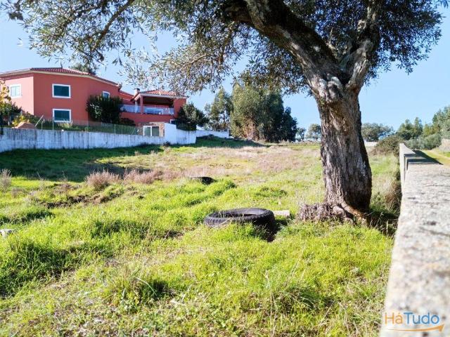 Terreno Para Construção Venda em Benquerenças,Castelo Branco | 26063450244