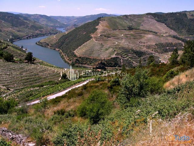 Terreno Para Construção Venda em Valença do Douro,Tabuaço | 26063610252