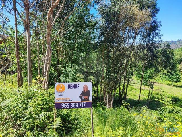 Terreno para Construção Vilela | 26063924095
