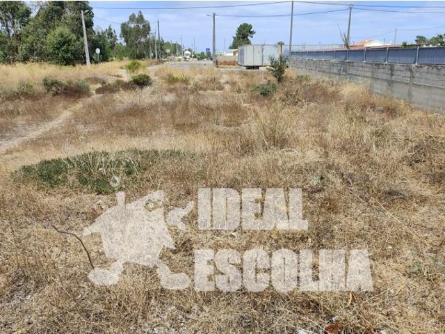 TERRENO PARA CONSTRUÇÃO 150 000€ PALMELA / QUINTA DO ANJO
