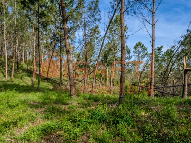 Terreno para construção