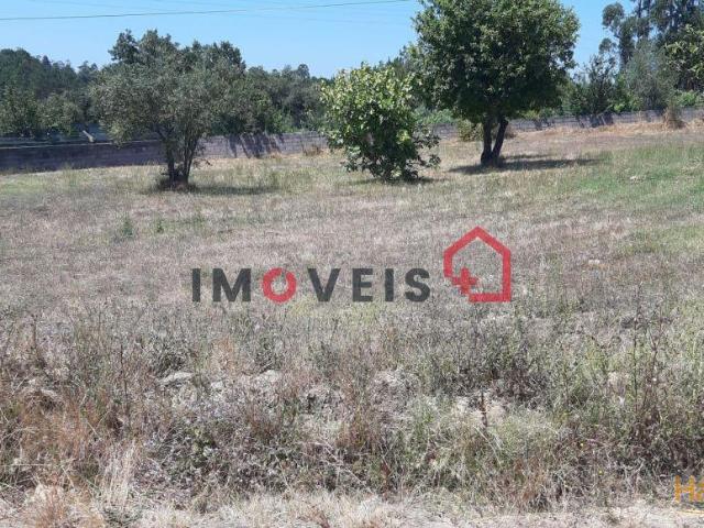 Terreno para construção | 26063250762