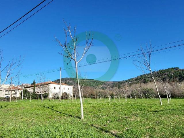 Terreno para Construção