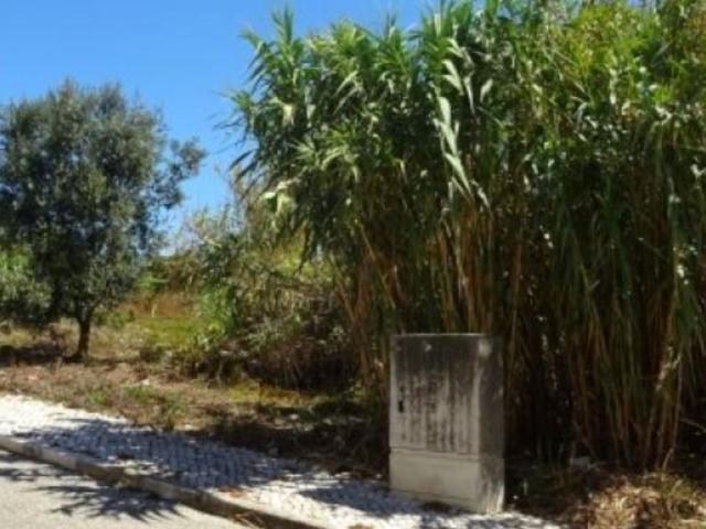 Terreno para construção
