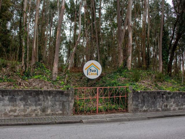 Terreno para Construção – 4000m² em Lourosa