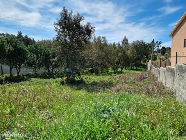 Terreno para construo, com 1450 m2, em Picassinos M.Grande