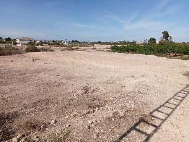 Terreno para construir entre Elche y Matola, LO VAS A PERDER?