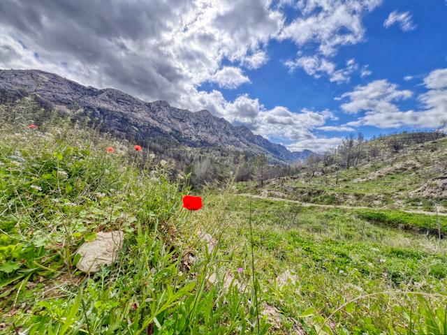 Terreno para construir 41000 m2