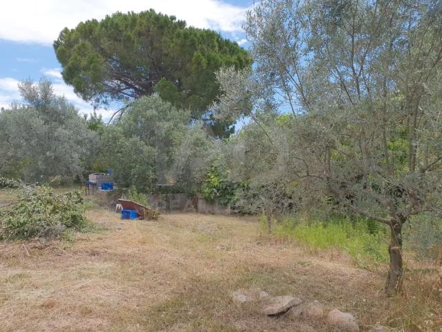 Terreno para construir 740 m2