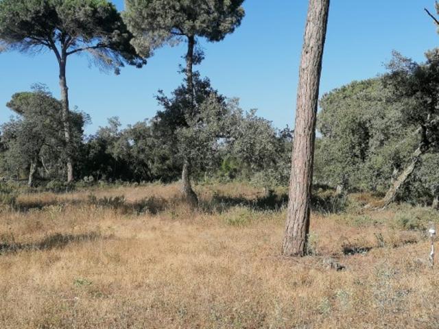 Terreno para cosntrução na Lagoa de Albufeira