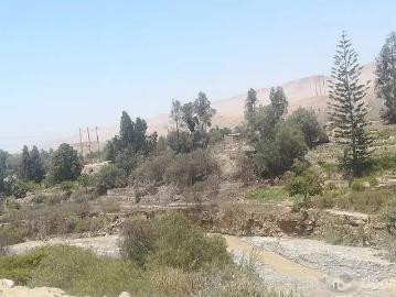 TERRENO PARA CASA DE CAMPO FRENTE A CALIENTES TACNA