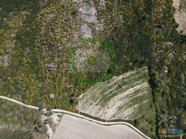 Terreno para cultivo | 26083592143